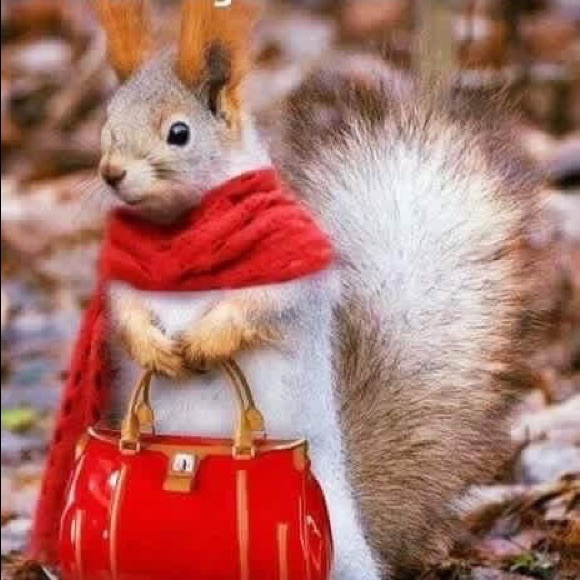 Meet your Posher, Sheryl - Picture 1 of 1